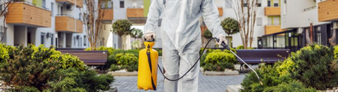 Dedetização em condomínios  24 HORAS